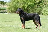 BEAUCERON 826